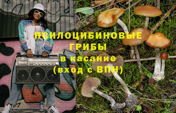 Альфа ПВП Богородск