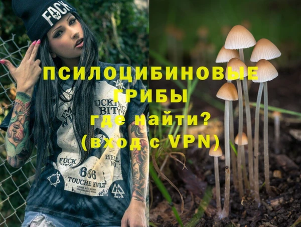 прущие крисы Богородицк