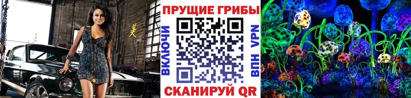 Псилоцибиновые грибы Cubensis Нарьян-Мар